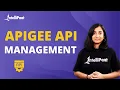 Introduction To Apigee API Management Apigee API Management Intellipaat