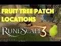 Fruit Tree Patch Locations Runescape 3