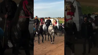 جوكير الشرويط تبارك الله او مشاء الله 