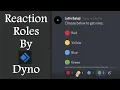 Roles by Dyno Bot New feature of Dyno