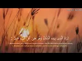 Download Lagu Bacaan Surah al-mulk paling merdu🥺
