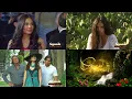 Download Lagu Coração Indomável l Segunda chamada da terceira reprise (22/09/2025)