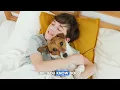 Only 2% Owners Do These 16 Things Dogs Truly Love