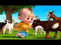 Download Lagu Rain Rain Go Away + More Nursery Rhymes \u0026 Kids Songs / Cartoons Nick