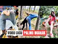 Download Lagu ADA APAKAH DENGANMU | VIDEO LUCU KOCAK BIKIN NGAKAK #funnyvideo 