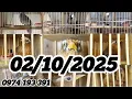 Download Lagu 02/10/2025 Lên Tiếp lô chim khướu và Họa Mi Bổi Lỡ Tố Chất. Mời các bác cùng kết nối. 0974 193 391