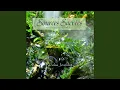 Download Lagu Adeimus