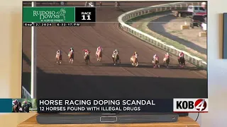 12 horses found with illegal drugs in system trainers suspended