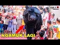 Download Lagu BANTENG MACAN NGAMUK NGESTI WARGO BUDOYO