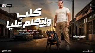 كلب واتكلم عليا  بتوزيع جديد جامد اوي هيكسر ديجهات مصر  من اوشا مصر ٢٠٢٦ دندنها