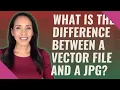 What is the difference between a vector file and a JPG