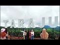Download Lagu Destinasi wisata perkebunan teh taraju Tasikmalaya yang wajib anda kunjungi