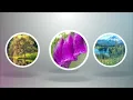 Beautiful Nature Video in 4K (Ultra HD) - Autumn River Sounds - 5 Hours Long