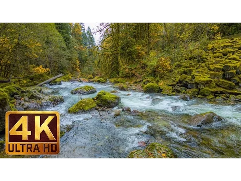 Download MP3 Beautiful Nature Video in 4K (Ultra HD) - Autumn River Sounds - 5 Hours Long