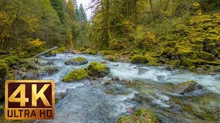 Beautiful Nature Video In 4K Ultra HD Autumn River Sounds 5 Hours Long  Beautiful Nature Video In 4K Ultra HD Autumn River Sounds 5 Hours Long