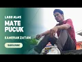Download Lagu Lagu Alas Terbaru - Mate Pucuk - Kameran