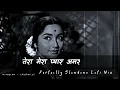 Download Lagu Tera Mera Pyaar Amar - Slowed x Reverb | Old Hindi Song Slowed | Another Sad Night