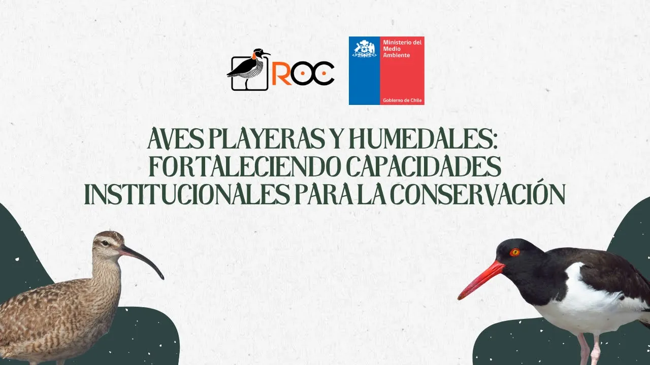 Taller: "Aves playeras y humedales: fortaleciendo capacidades institucionales para la conservación"