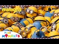Lagu 20 Minutes of the MINIONS! 🚨 | Minions | Compilation | Movie Moments | Mini Moments