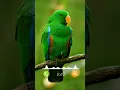 Download Lagu #ringtone #smartphone #music #ringtones
