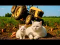 Download Lagu Mama Cat Falls While Harvesting Carrots, But Kitten Quickly Comes to Help - A Heartwarming Story 🐱🥕🐾