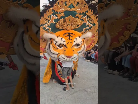 Dicaplok Barongan #shorts