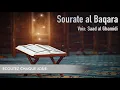 Download Lagu la meilleure protection sourate el baqara ( contre le mal, pour les enfants et la maison )