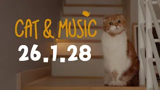 🔴26.1.28 Cat & Music LIVE (feat.치순chisoon&콩kong)【SURI&NOEL】😺