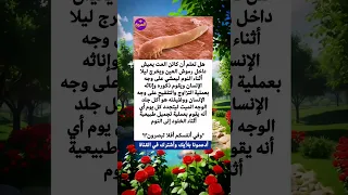 كائن العت يعيش داخل رموش العين ويخرج ليلا أثناء النوم ليمشي على وجه الإنسان معلومات 