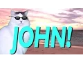 HAPPY BIRT AY JOHN - EPIC CAT Happy Birt ay Song
