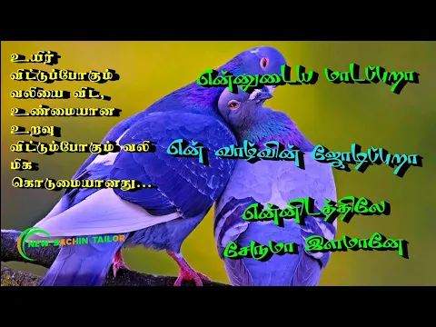 Download MP3 Ennudaiya maadapura lyrical video song l Tamil l Namma ooru raasa
