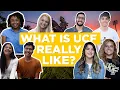 What is UCF Really Like The Campus Knights