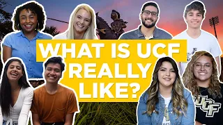 What is UCF Really Like The Campus Knights