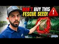 Watch this BEFORE buying FESCUE SEED