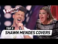 SHAWN MENDES in The Voice (#2)