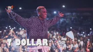 t dollar 