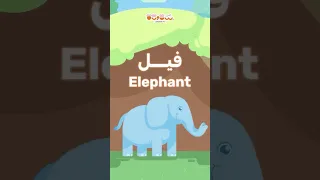 أغنية الفيل   أغاني ستوتة للأطفال دندنها