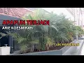 Download Lagu APAPUN TERJADI.ARIE KOESMIRAN