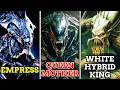 Xenomorph Chain of Command Explained - Ranks Types and Hive Structure Explored