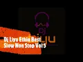 Lagu Dj Liyu Ethio Best Slow Non Stop Vol 5|||