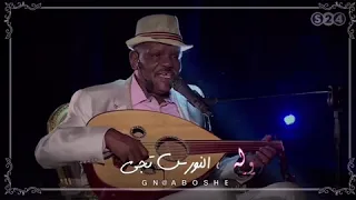 سيف الجامعة زولة تفتح الروح ضلفتين 