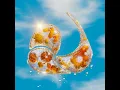 Dolphin Song - Justin Jay