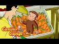 Download Lagu George The Gardener! 🐵 Curious George 🐵 Kids Cartoon 🐵 Kids Movies