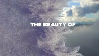 the beauty of his grace official lyric video