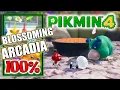 Pikmin 4 - Blossoming Arcadia 100 Collectibles