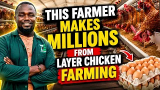 How to Start a Layer Poultry Farm and Make Millions From Eggs