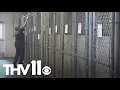 Jacksonville Animal Shelter addresses overcrowding issue