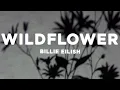 Download Lagu Billie Eilish - WILDFLOWER (Lyrics) sped up