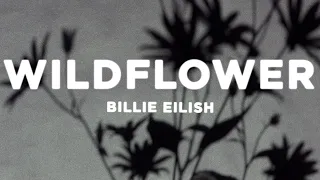 Billie Eilish WILDFLOWER Lyrics Sped Up 