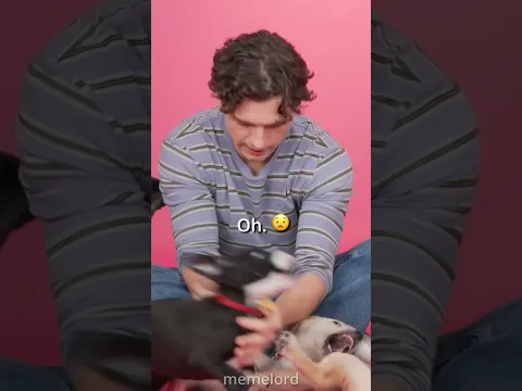 Zendaya and Tom Holland are so funny together 😂💀 #shorts #zendaya #tomholland #spiderman